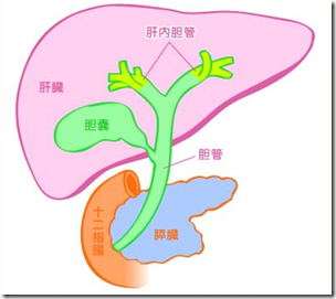 胆管腫瘍